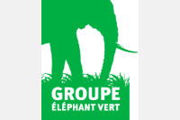 Eléphant Vert Sénégal