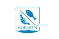 Sopasen