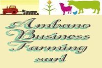 Ambano Business Farming