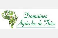 Les Domaines Agricoles de Thiès