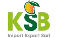 KSB Import - Export