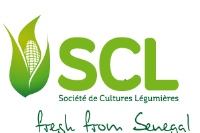 Société de Cultures Légumières - SCL 