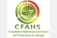 Coopérative Fédérative des Acteurs de l'Horticulture du Sénégal (CFAHS) 