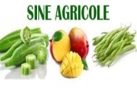 Sine Agricole SARL