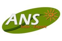 Ans Inter - Export 