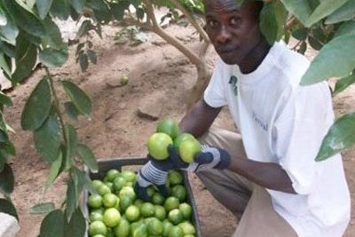 SECPA/ Sénégalaise de production et de commercialisation de produits agricoles