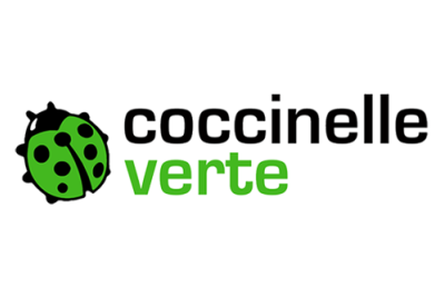 Coccinelle verte