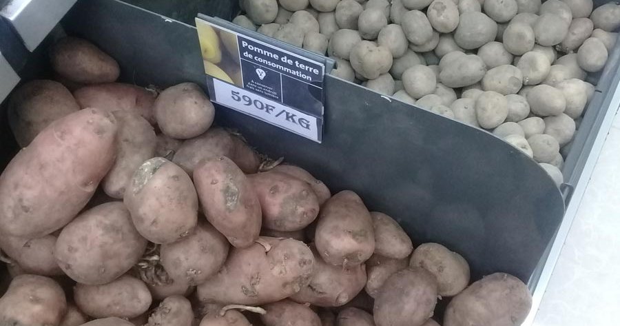 la-production-de-la-pomme-de-terre-s-n-galaise-a-la-patate-mais-les
